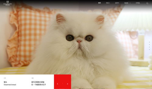 攝像攝影網站 企業快速建站 個人自助模板建站 高端網站定制設計 魔藝 uemo 極速建站