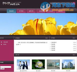 xsite企業自助建站軟件下載 1.5.0 免費版 河東下載站